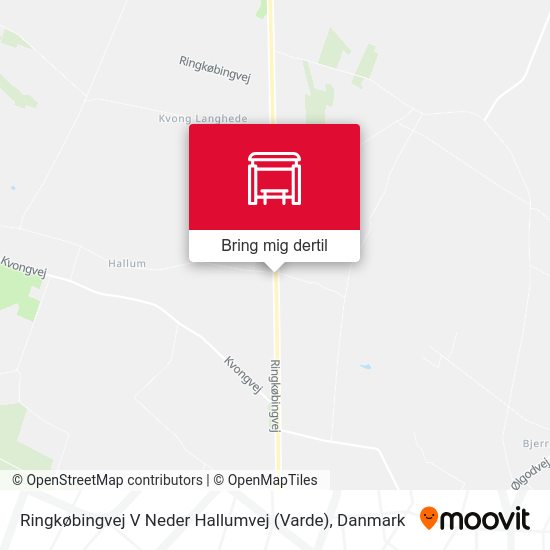 Ringkøbingvej V Neder Hallumvej (Varde) kort