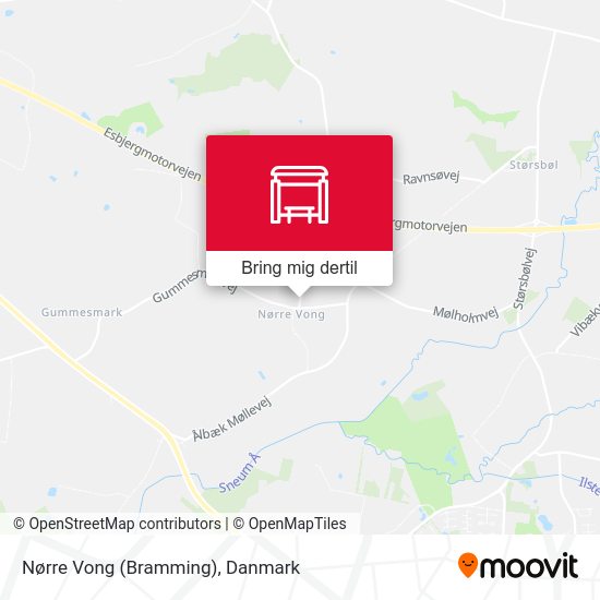 Nørre Vong (Bramming) kort