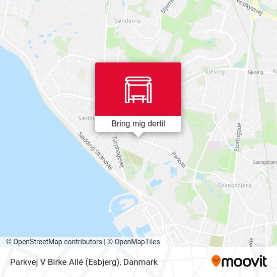Parkvej V Birke Allé (Esbjerg) kort