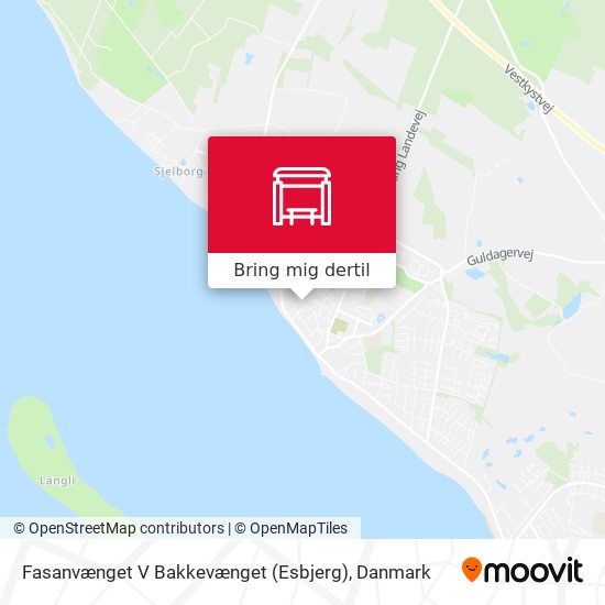 Fasanvænget V Bakkevænget (Esbjerg) kort