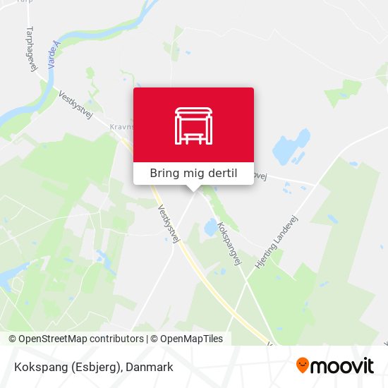 Kokspang (Esbjerg) kort