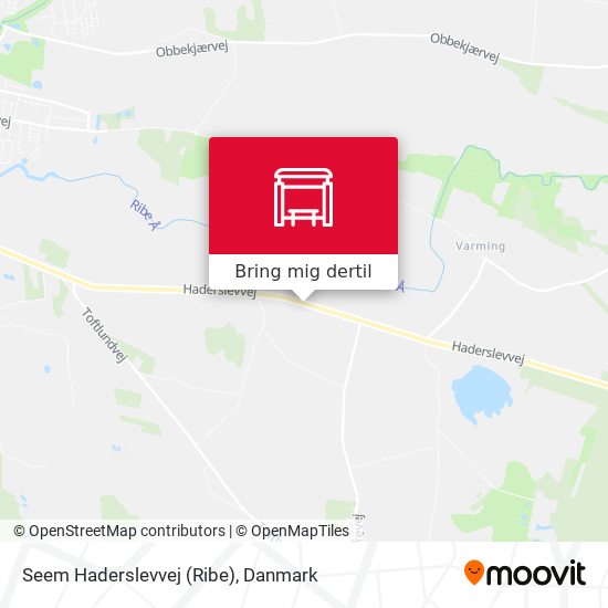 Seem Haderslevvej (Ribe) kort