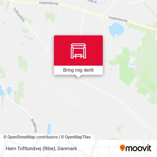 Høm Toftlundvej (Ribe) kort