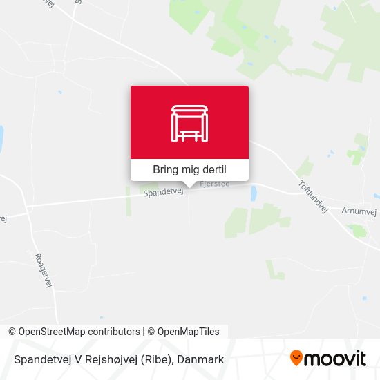 Spandetvej V Rejshøjvej (Ribe) kort