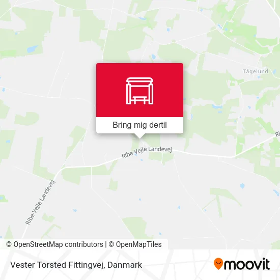 Vester Torsted Fittingvej kort