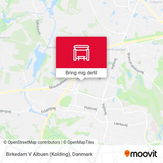 Birkedam V Albuen (Kolding) kort