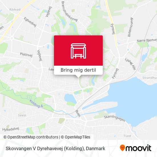 Skovvangen V Dyrehavevej (Kolding) kort