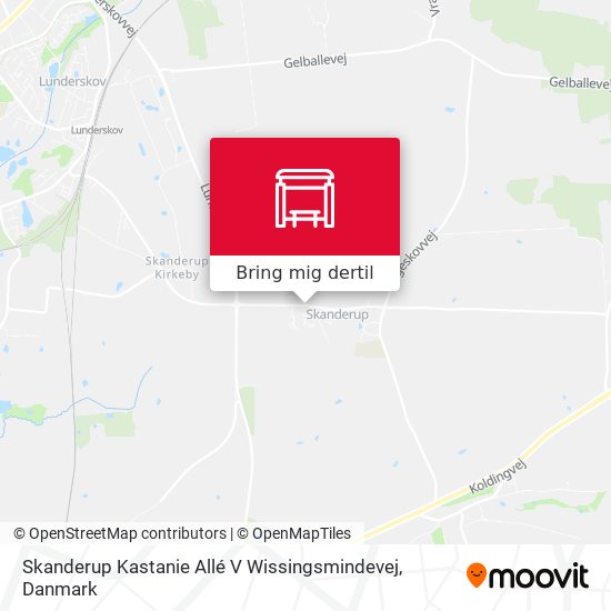 Skanderup Kastanie Allé V Wissingsmindevej kort