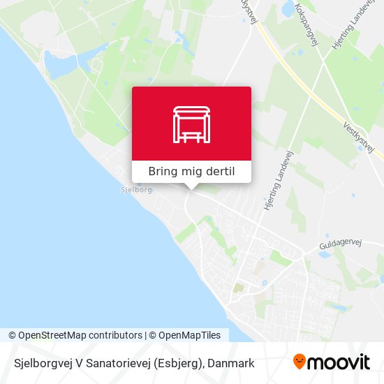 Sjelborgvej V Sanatorievej (Esbjerg) kort