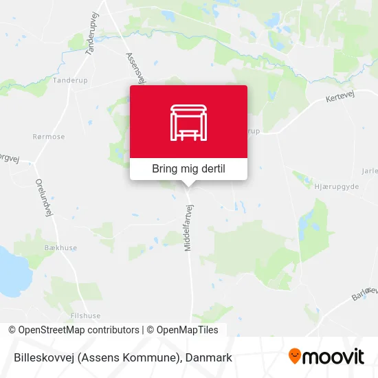 Billeskovvej (Assens Kommune) kort