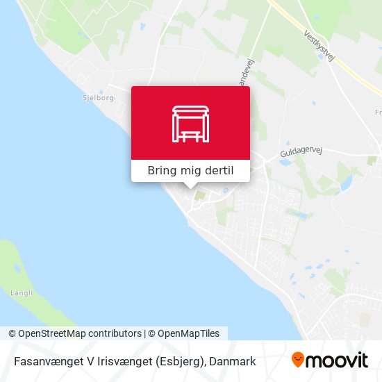 Fasanvænget V Irisvænget (Esbjerg) kort