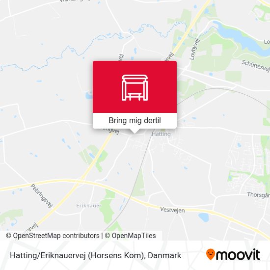Hatting / Eriknauervej (Horsens Kom) kort