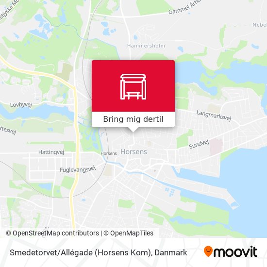 Smedetorvet / Allégade (Horsens Kom) kort