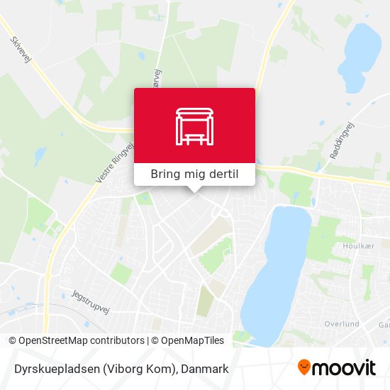 Dyrskuepladsen (Viborg Kom) kort