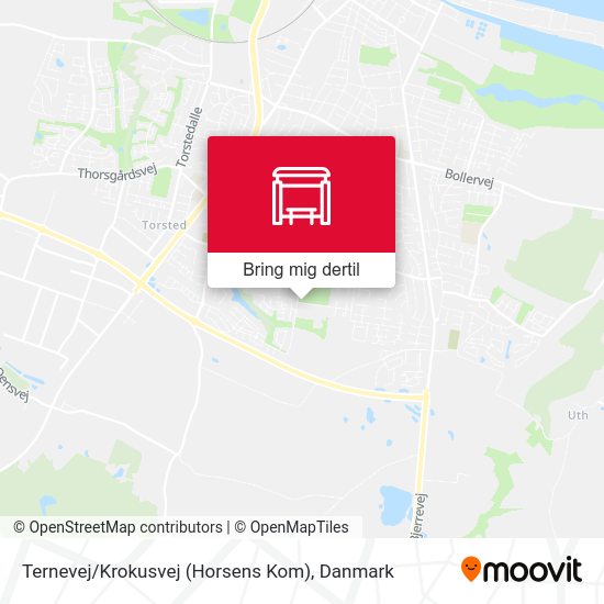 Ternevej / Krokusvej (Horsens Kom) kort