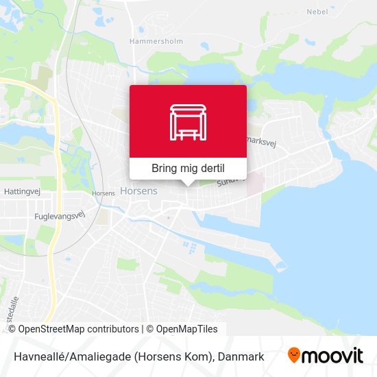 Havneallé / Amaliegade (Horsens Kom) kort