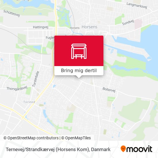 Ternevej / Strandkærvej (Horsens Kom) kort