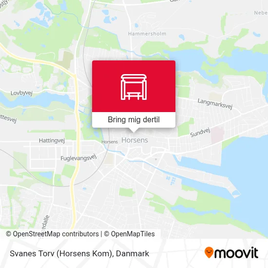 Svanes Torv (Horsens Kom) kort