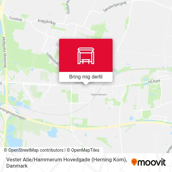 Vester Alle / Hammerum Hovedgade (Herning Kom) kort