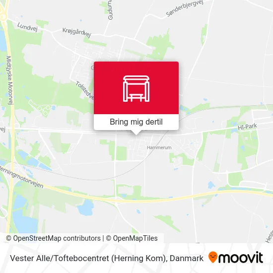 Vester Alle / Toftebocentret (Herning Kom) kort