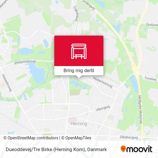 Dueoddevej / Tre Birke (Herning Kom) kort