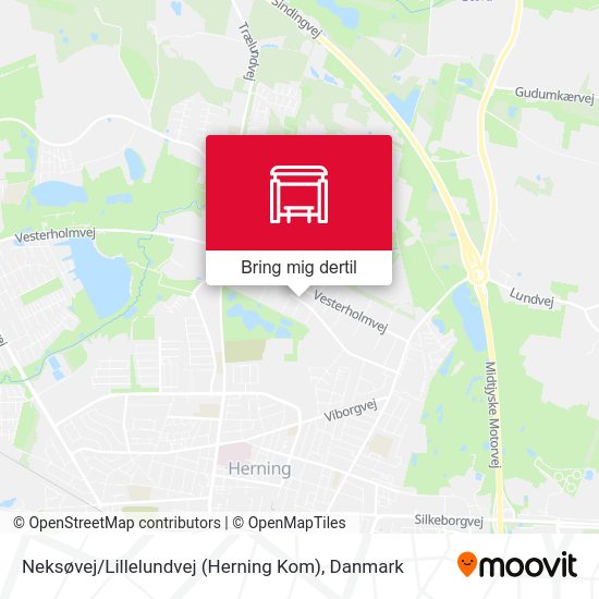 Neksøvej / Lillelundvej (Herning Kom) kort