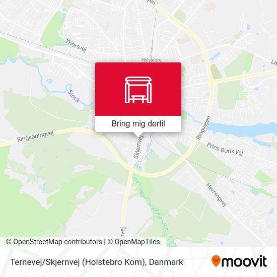 Ternevej / Skjernvej (Holstebro Kom) kort