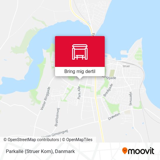Parkallè (Struer Kom) kort