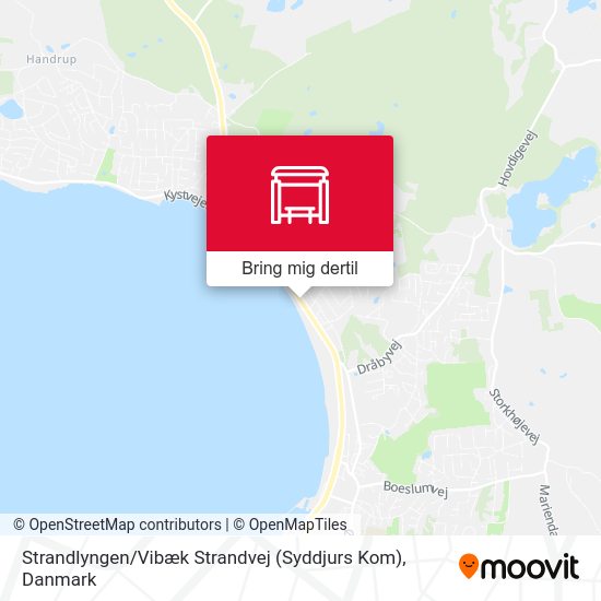 Strandlyngen / Vibæk Strandvej (Syddjurs Kom) kort