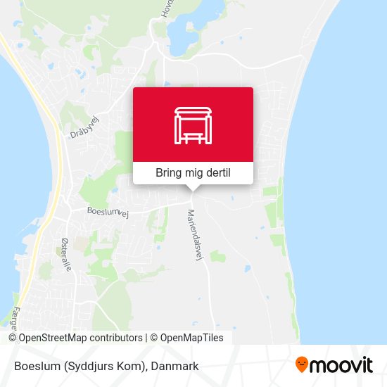 Boeslum (Syddjurs Kom) kort