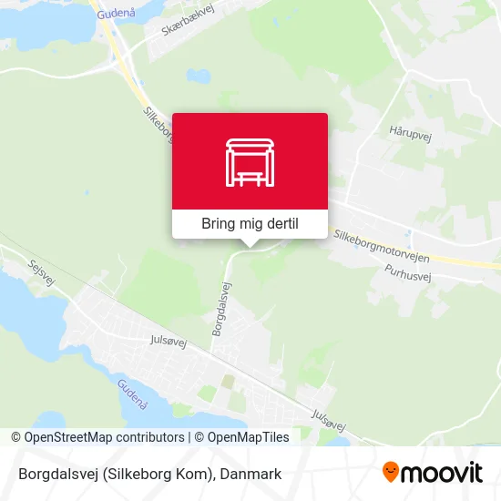 Borgdalsvej (Silkeborg Kom) kort