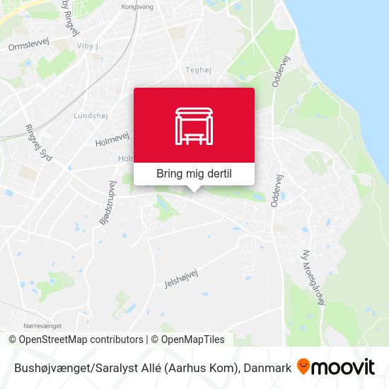 Bushøjvænget / Saralyst Allé (Aarhus Kom) kort