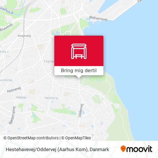 Hestehavevej / Oddervej (Aarhus Kom) kort