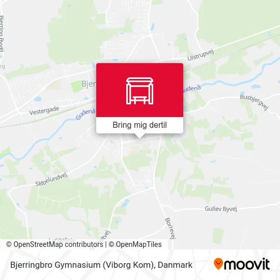 Bjerringbro Gymnasium (Viborg Kom) kort