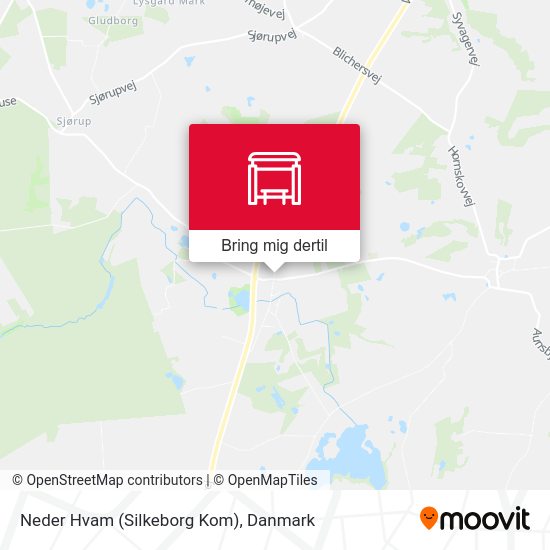 Neder Hvam (Silkeborg Kom) kort