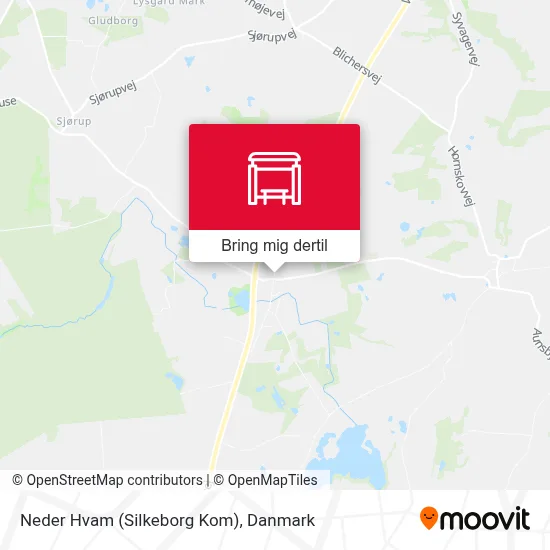 Neder Hvam (Silkeborg Kom) kort