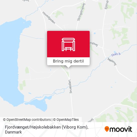 Fjordvænget / Højskolebakken (Viborg Kom) kort