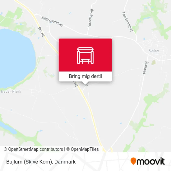 Bajlum (Skive Kom) kort