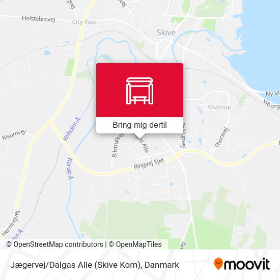 Jægervej / Dalgas Alle (Skive Kom) kort