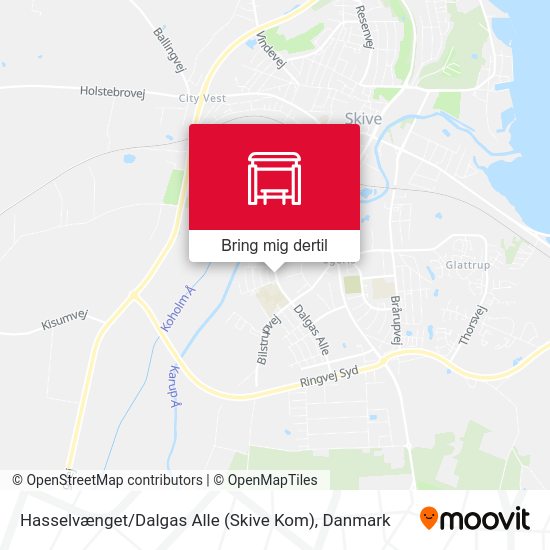 Hasselvænget / Dalgas Alle (Skive Kom) kort