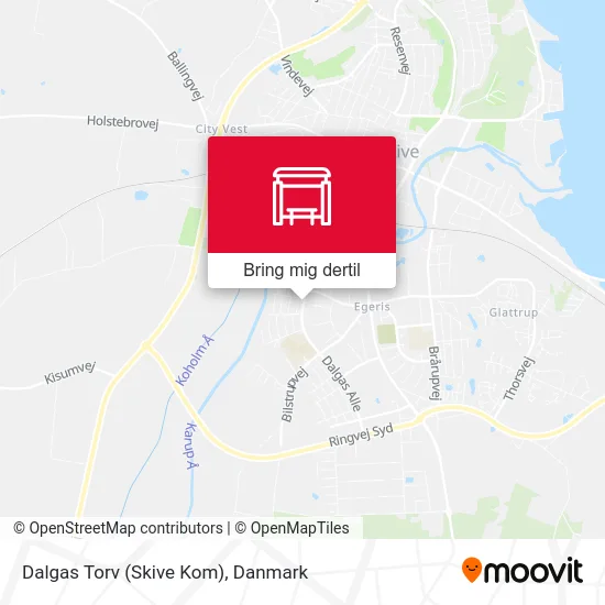 Dalgas Torv (Skive Kom) kort