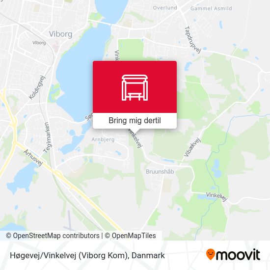 Høgevej/Vinkelvej (Viborg Kom) kort