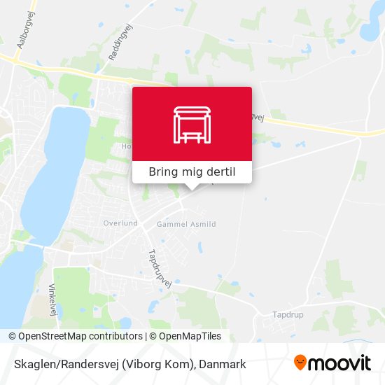 Skaglen / Randersvej (Viborg Kom) kort