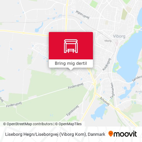 Liseborg Hegn / Liseborgvej (Viborg Kom) kort