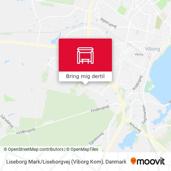 Liseborg Mark / Liseborgvej (Viborg Kom) kort