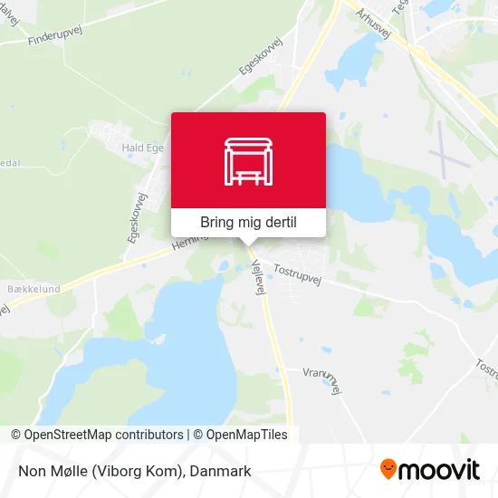 Non Mølle (Viborg Kom) kort