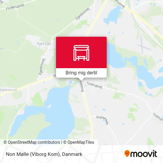 Non Mølle (Viborg Kom) kort