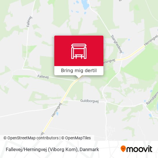 Fallevej / Herningvej (Viborg Kom) kort