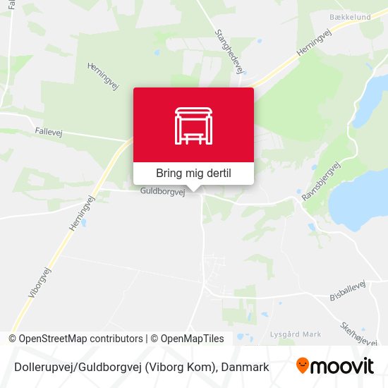 Dollerupvej / Guldborgvej (Viborg Kom) kort