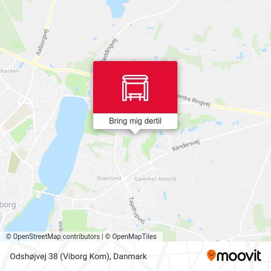 Odshøjvej 38 (Viborg Kom) kort